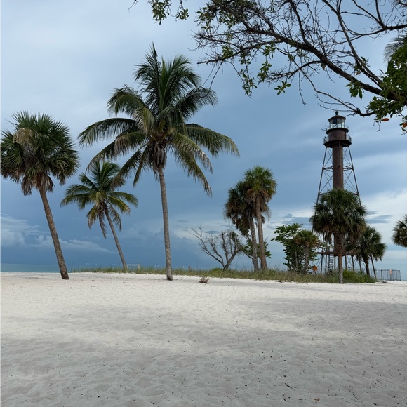 gilligan0336